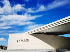 新疆艺术学院：艺术实践活动走进社区，为群众带来更新的体验！