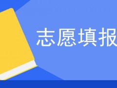 如何考虑志愿填报？