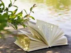 广东佛山：启动“品质阅读一小时启动”活动，营造良好阅读氛围！