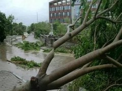 汛情严重，湖北多所高校面向台风推出临时困难补助！