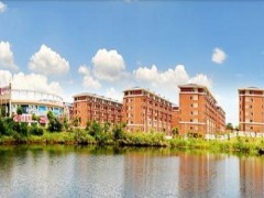 广西：依托“硕师计划”推动高素质教师走向农村学校，助力教育优质均衡发展！